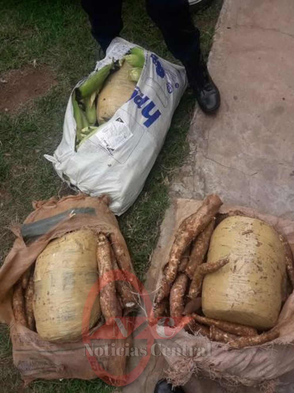 Detienen en un bus a dos hombres que transportaban 50 kilos de marihuana