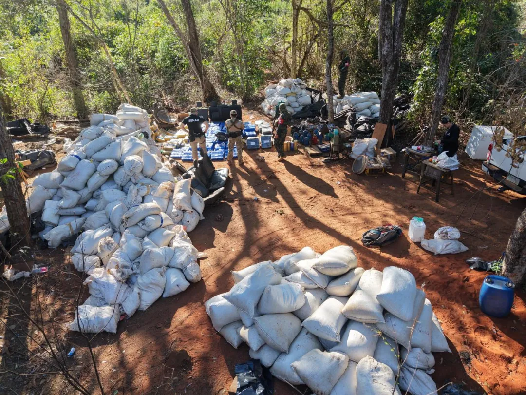 SENAD desmantela megaestructura de procesamiento de marihuana en Amambay