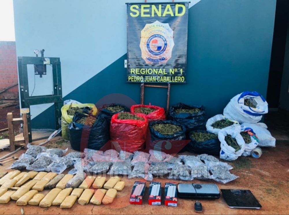 Tras allanamiento incautan más de 80kg  de marihuana 