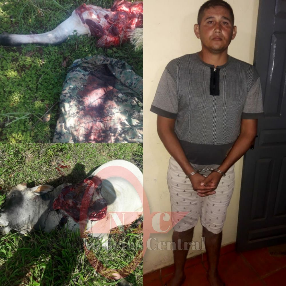 Policía detenido por abigeato en Concepción 