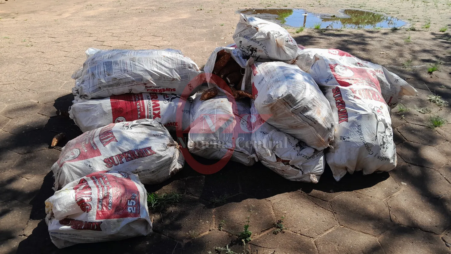 Mandioca incautada será donada a comedores de Pedro Juan Caballero