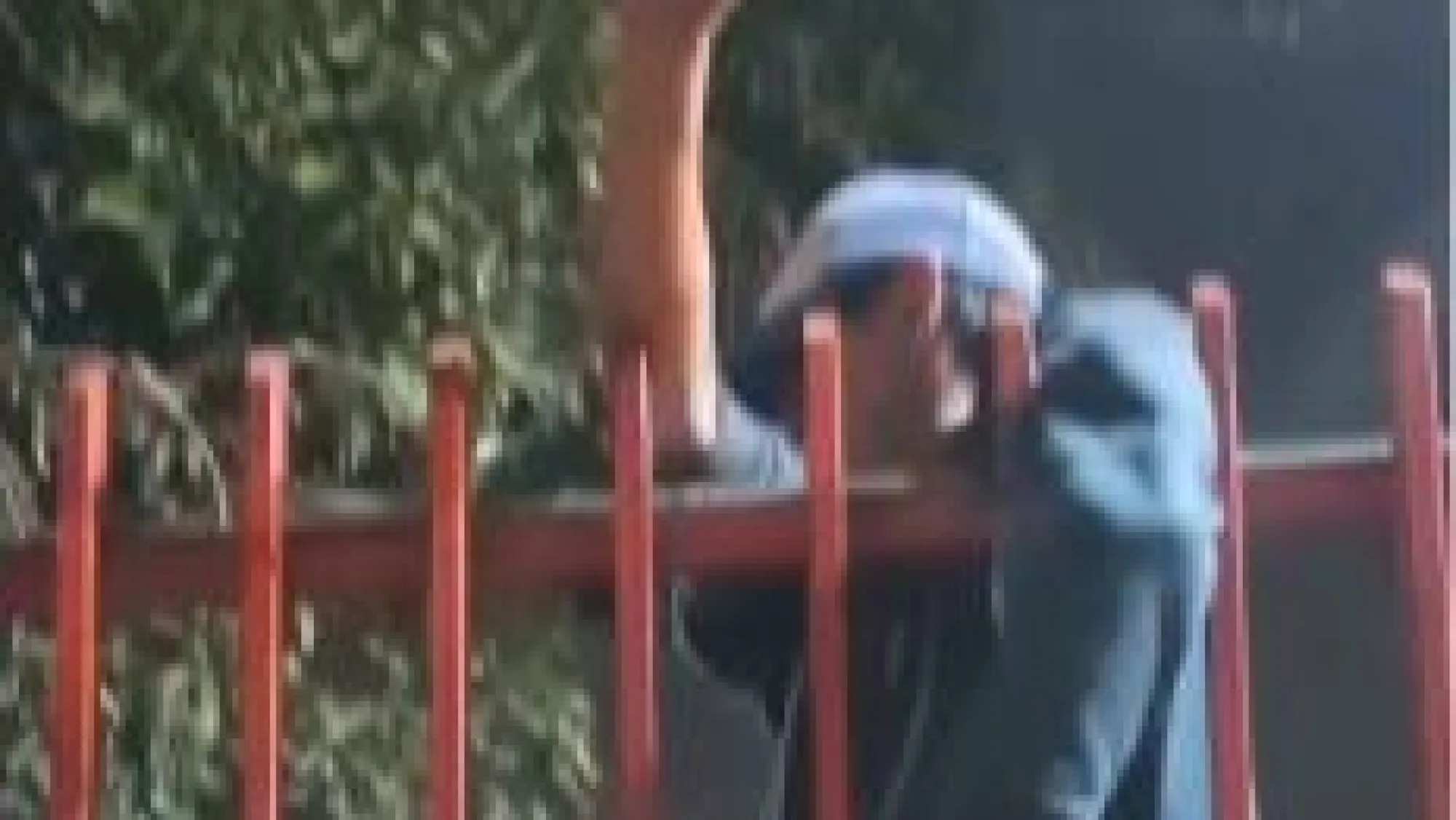 Quiso entrar supuestamente a robar a la casa de su mamá y quedó colgado de la reja