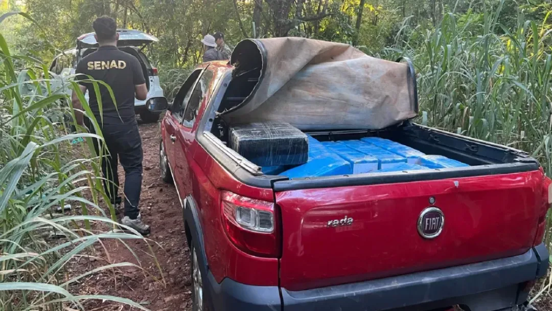Red de Macho en la mira: Interceptan convoy con marihuana en Canindeyú