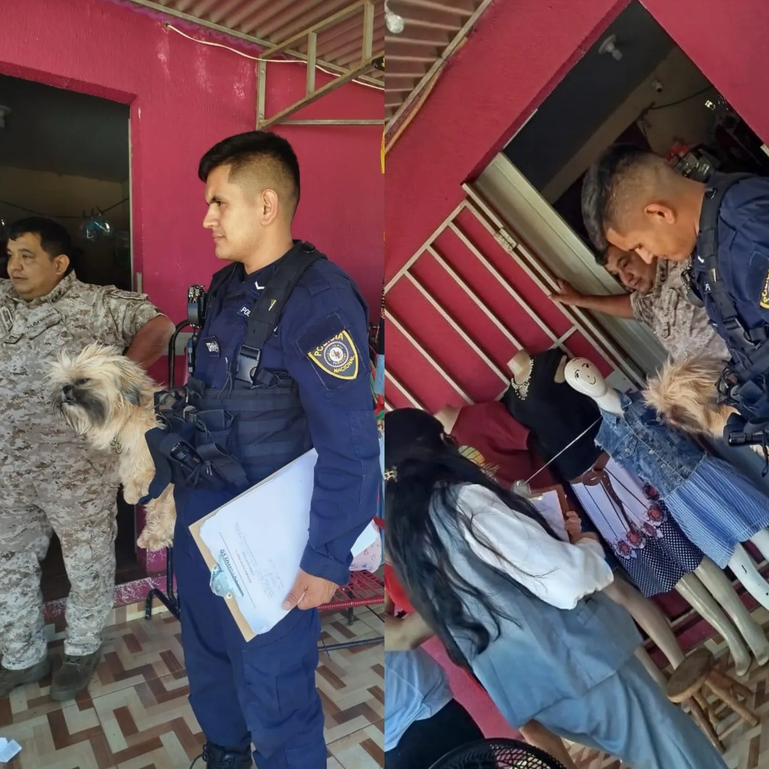 Insólito en Capitán Bado: allanan una vivienda para recuperar un perro robado