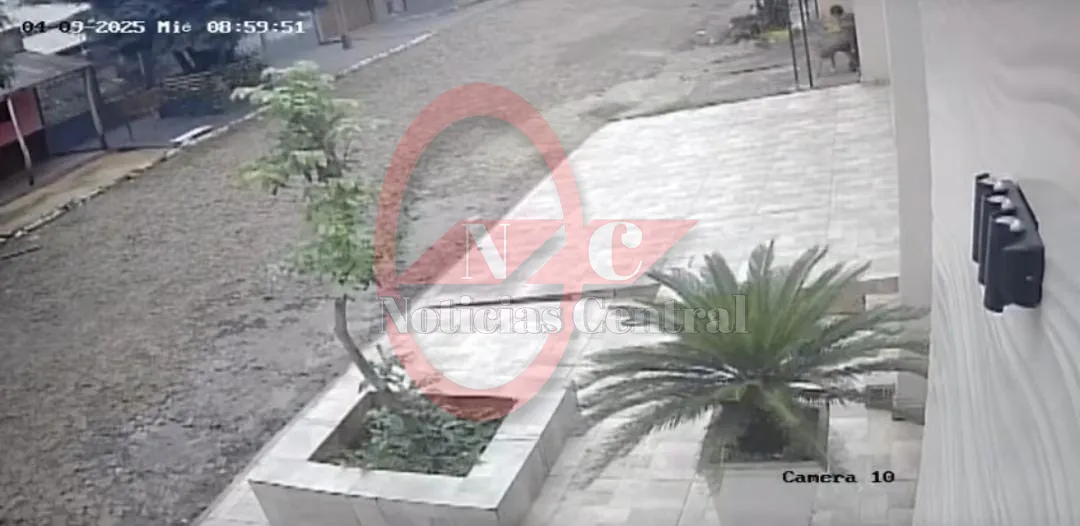 Denuncian supuesto hecho de zoofilia en plena vía pública de Pedro Juan Caballero