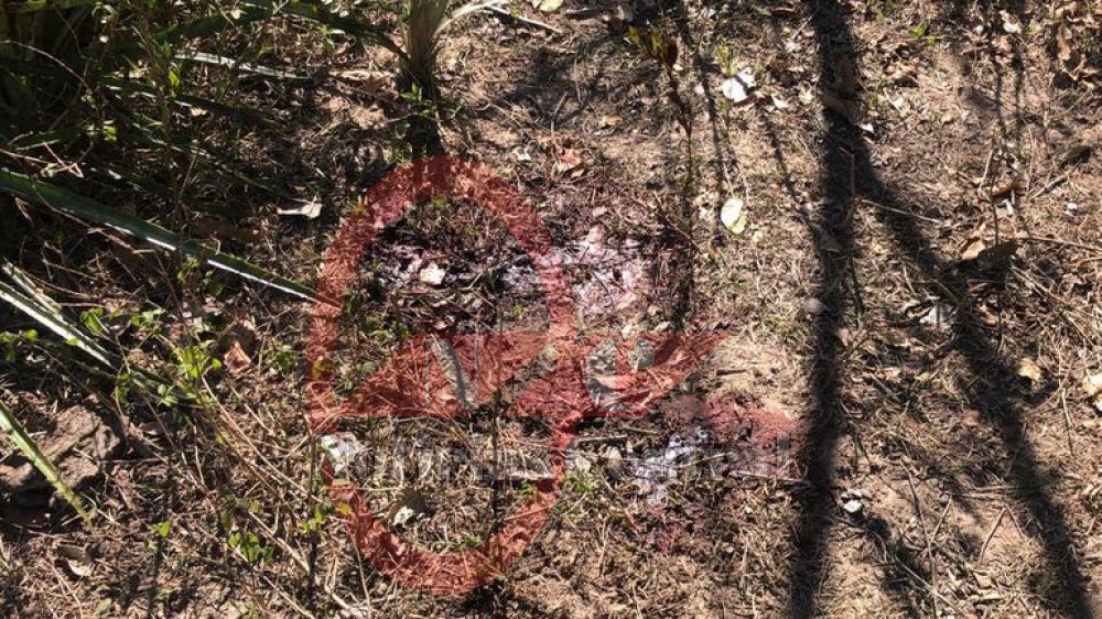 Buscan campamentos en zona donde cayeron abatidos dos miembros del EML