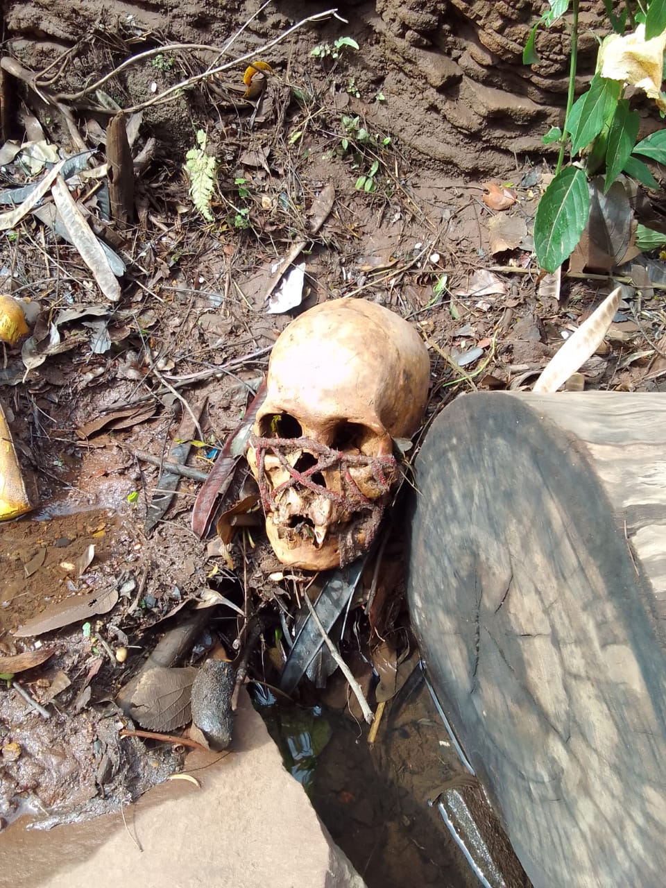 Hallan un cráneo en el cauce hídrico del arroyo Marcos Chorro