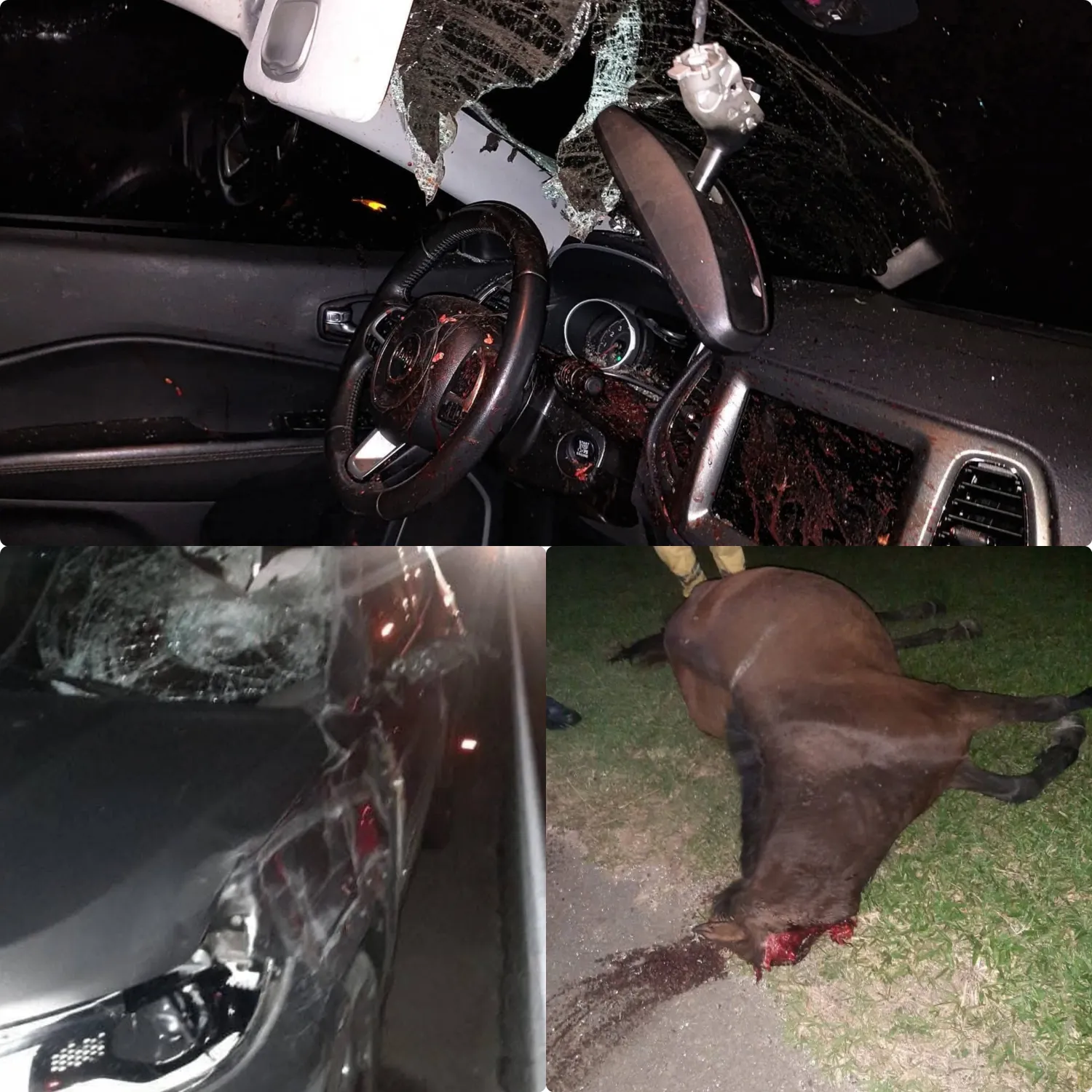 Médico de Misiones sufre accidente en la ruta rumbo a Asunción