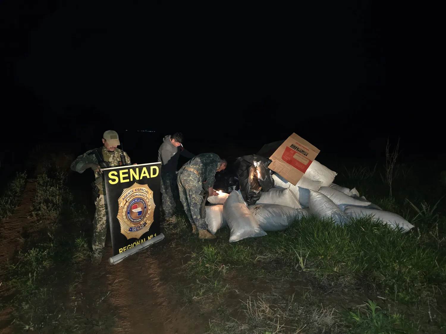 SENAD desmantela centro de acopio de marihuana en Karapai