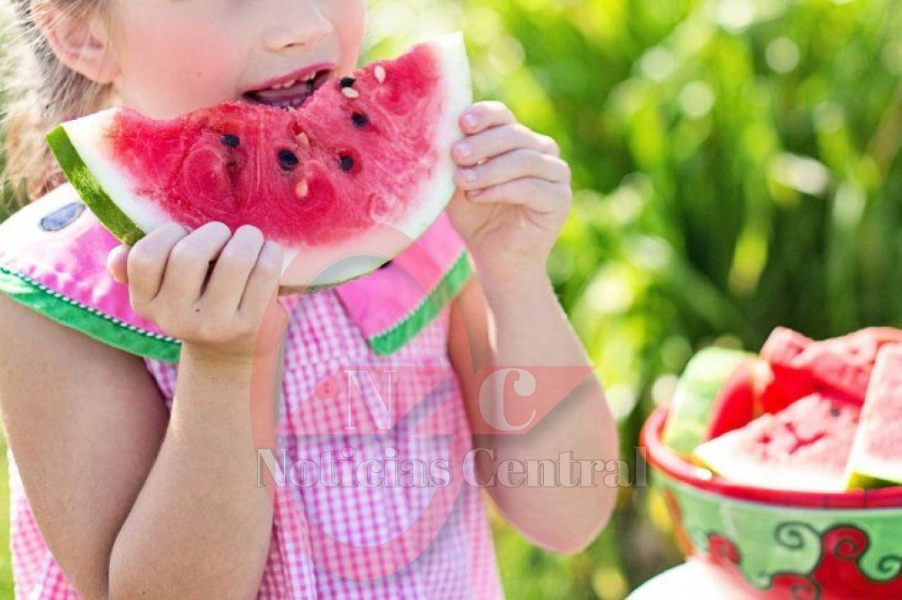 ¿Cómo alimentar a los niños en días calurosos? 