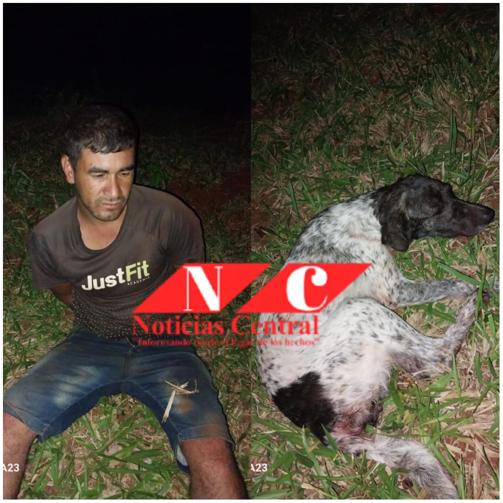 Zoofilia: Hombre abusó sexualmente de un perro en Santa Clara