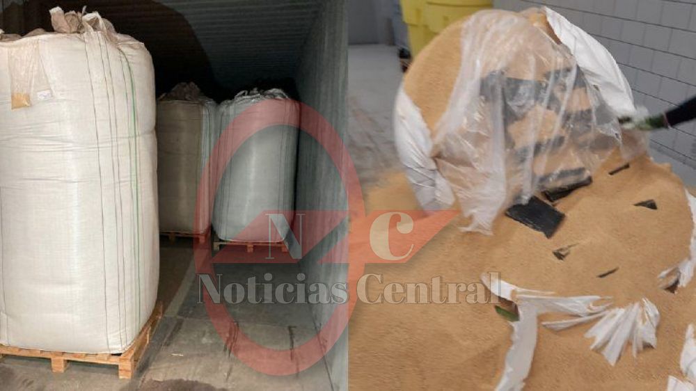 Uruguay responsabiliza "100%" a Paraguay por cocaína incautada en Holanda