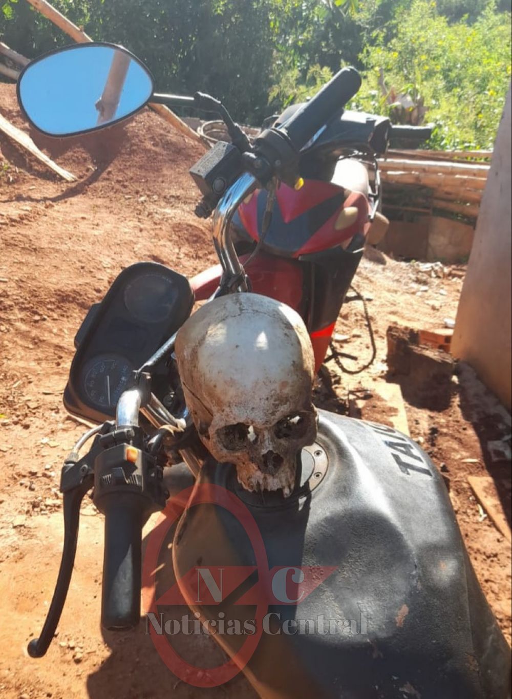 Tras discutir con vecinos una mujer halló un cráneo humano en el patio de su vivienda