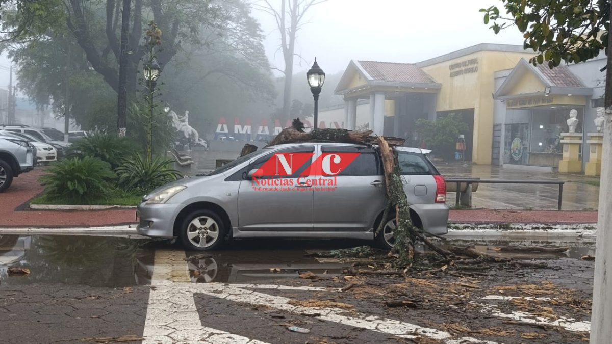 Caída de una rama causa daños a un automóvil en el centro de Pedro Juan Caballero