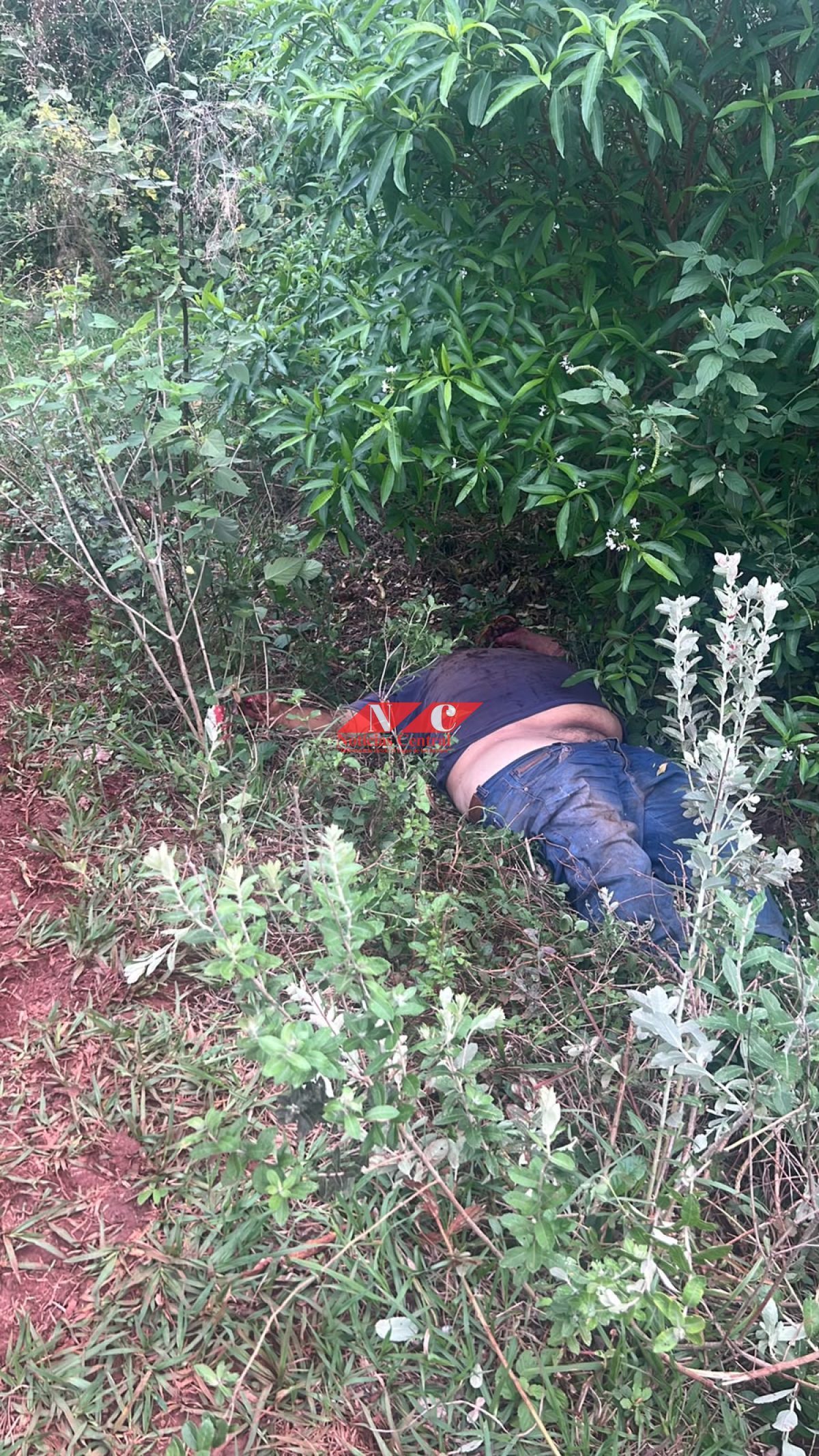Hallan muerto a un hombre con un disparo en la cabeza en Pedro Juan Caballero